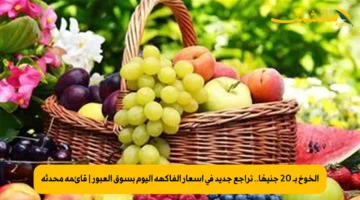 الخوخ بـ 20 جنيهًا.. تراجع جديد في أسعار الفاكهة اليوم بسوق العبور | قائمة محدثة